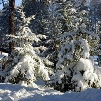 С Новым годом, друзья! :: Галина Нестратова