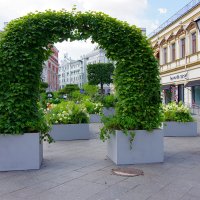 Кузнецкий Мост :: Игорь Белоногов Кузнецкий Мост :: Игорь Белоногов