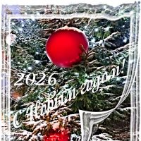 С наступившим Новым 2026 годом! :: Veera V