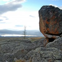 ЯМАЛ :: Tata Wolf