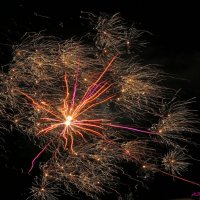 Яркого всем новогодья! :: Андрей Заломленков