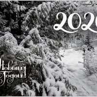 С Новым 2026-м! :: Людмила Фил С Новым 2026-м! :: Людмила Фил