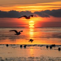 Первый рассвет 2026 года :: Ирина 