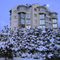 Калининград предновогодний :: Рита Симонова