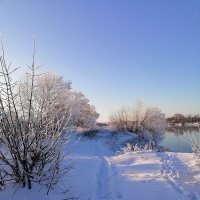 **** :: Зоя Мишина **** :: Зоя Мишина