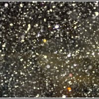 Долгожданный снег... :: Aleksandr Gal