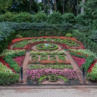 цветочные часы :: navalon M