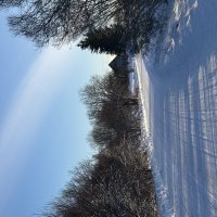 Зимняя дорога :: Ольга Савельева 