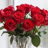 РОЗЫ :: СЕРГЕЙ ФИЛОЧКИН