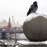 хорошо сидит :: Олег Лукьянов