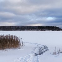 Наледь на озере. :: Милешкин Владимир Алексеевич 