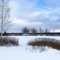 Последние дни уходящего года. :: Милешкин Владимир Алексеевич 