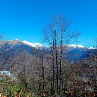 Адлер... горы... Роза Хутор... :: Нина Бутко