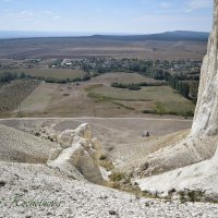 Природа Крыма :: Amazing Cosmea