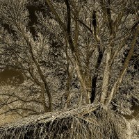 время :: Александр Беляков время :: Александр Беляков