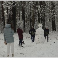 Зимнняя радость :: Aleksandr Gal