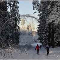 Зимняя радость :: Aleksandr Gal