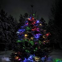 Новогодняя ночь :: Александр Сансар Новогодняя ночь :: Александр Сансар