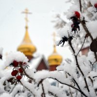 С Новым Годом!!! :: Ольга С Новым Годом!!! :: Ольга