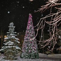 В Новогоднюю ночь :: Светлана В Новогоднюю ночь :: Светлана