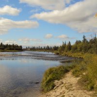 ЯМАЛ :: Tata Wolf