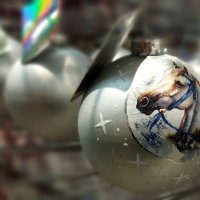 С Новым годом!!! :: Радмир Арсеньев С Новым годом!!! :: Радмир Арсеньев