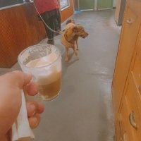 13  ОПЕН (800) :: OPEN WAYS ALL