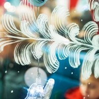 Окно поезда Деда Мороза :: Александр 