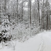 дорожка на родник :: Владимир дорожка на родник :: Владимир