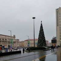 Минск встретил дождём, а мы привезли снег и мороз :: Nataly St. Минск встретил дождём, а мы привезли снег и мороз :: Nataly St.