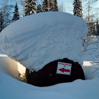 Спасите! :: Павел Трунцев