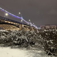 "снежно" :: Olga Oskolkova