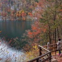 Осень в Баварских Альпах. Озеро Айбзее (Eibsee) :: Наталья Куликова