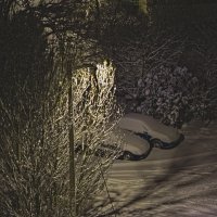 Машинки в снегу :: Giant Tao /