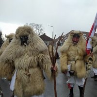 Бушары (люди, одетые в традиционные маски) :: Mária Szentgyörgyi