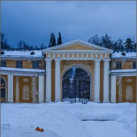 Мандарины на снегу :: Наталья Rosenwasser