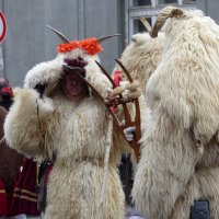 Бушары (люди, одетые в традиционные маски) :: Mária Szentgyörgyi