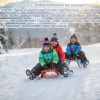 3 января - День катания на санках :: Валерий Иванович