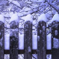 В шапочках :: Людмила Смородинская В шапочках :: Людмила Смородинская