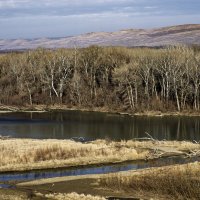 Река Кубань :: Игорь Сикорский Река Кубань :: Игорь Сикорский