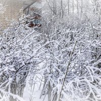 *** :: Евгений *** :: Евгений