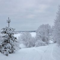 На берегу старицы. :: Андрей Дурапов На берегу старицы. :: Андрей Дурапов