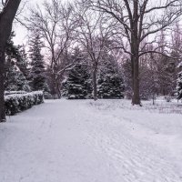 Зимний пейзаж :: Валентин Семчишин Зимний пейзаж :: Валентин Семчишин