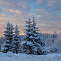 Красота у дороги. :: Андрей Дурапов