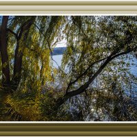 Зарисовка на природе :: Владимир Кроливец Зарисовка на природе :: Владимир Кроливец