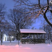 Калининград, 31 декабря :: Рита Симонова