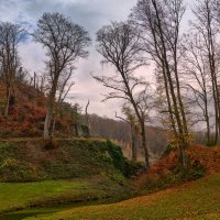 Прошлый ноябрь... :: Dmitriy Dikikh Прошлый ноябрь... :: Dmitriy Dikikh