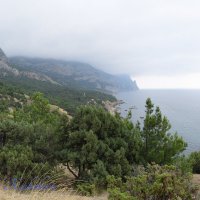 Природа Крыма :: Amazing Cosmea