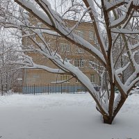 Волшебная графика зимы. :: Лилия * Волшебная графика зимы. :: Лилия *