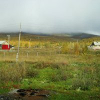 ЯМАЛ :: Tata Wolf ЯМАЛ :: Tata Wolf